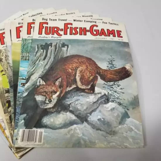 Vintage Fur Fish Game Magazine 10 Issues of 1981 Articles Advertising Decor