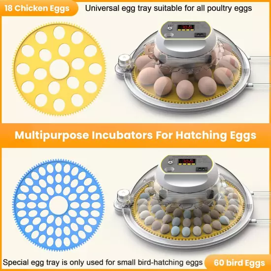 Incubators for Hatching Eggs, 18-60 Eggs Incubator with Automatic Egg Turning an