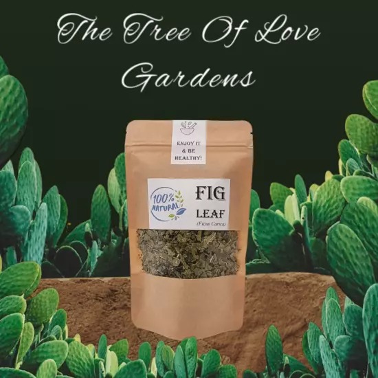 Fig Leaf Cuts or Powder | Ficus Carica Folia | Tea