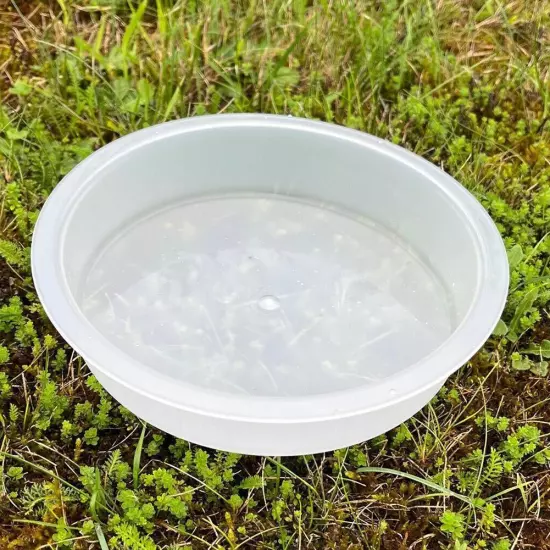 Professional Bird Feeding Water Tray and Water Feeding Plastic Bowl-