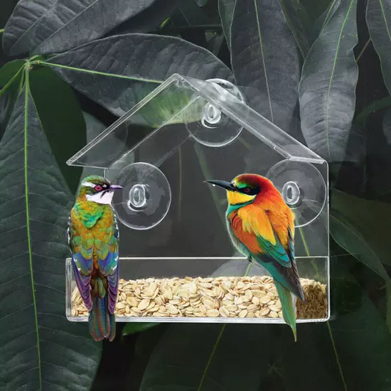 Window Bird Feeder Suction Cups Wild Bird Feeder Outside Bird Watching Gifts