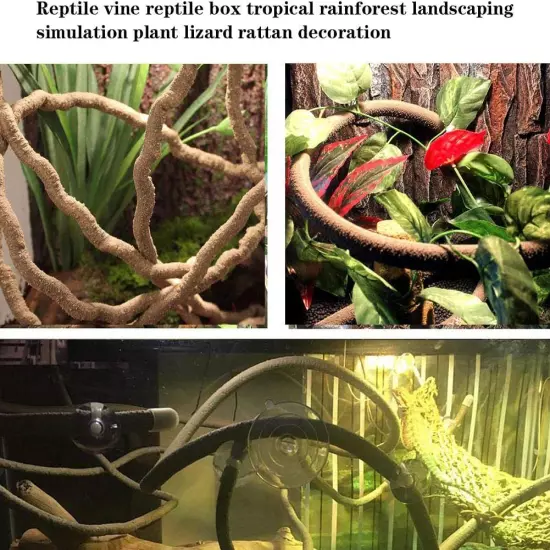 Bearded Dragon Tank Accessories Lizard Large Hammock Jungle Climber Vines Flexib