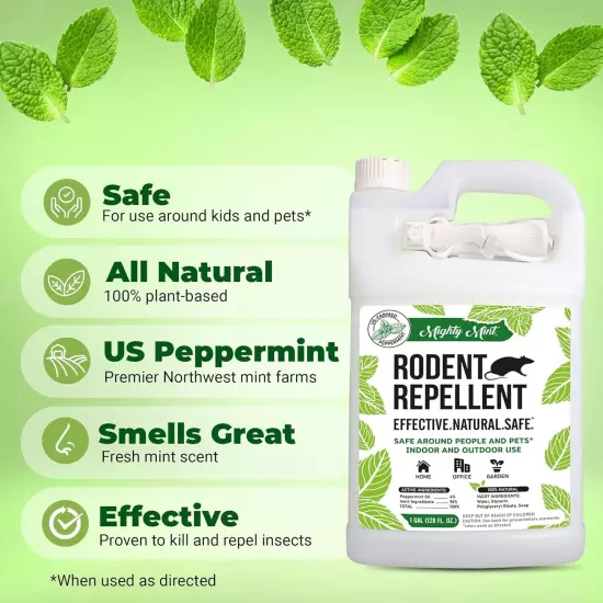 Mighty Mint 1 Gallon Mice Rat Rodent Repellent Spray, All Natural Peppermint Oil