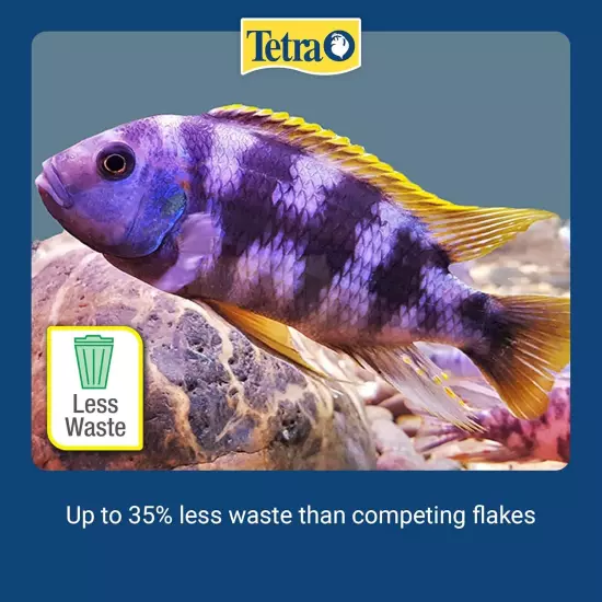 Tetra Cichlid Crisps, Nutritionally Balanced Fish Food for All Top and Mid-Water