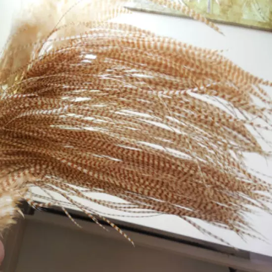 100 6-9" WHITING Ginger GRIZZLY ROOSTER SADDLE HACKLE FEATHER HAIR EXTENSIONS