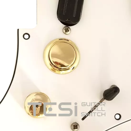 Tesi Switch DITO 24mm Arcade Button Guitar Kill Switch - 25 Colors Available!