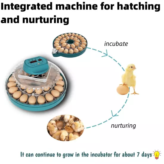 Egg Incubator Intelligent Incubator for Chicken Eggs with Automatic Humidity C