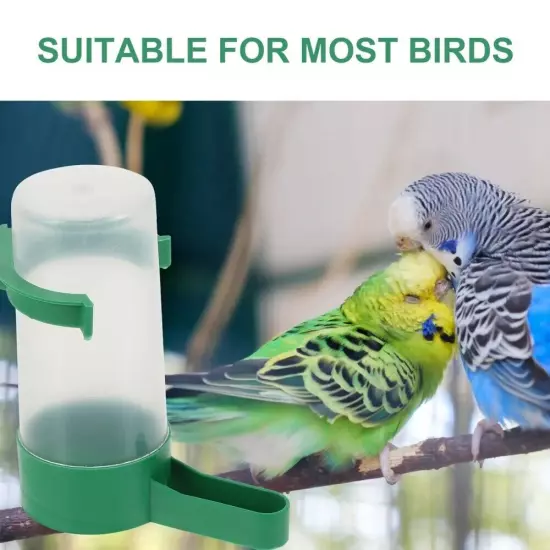 80Pcs Automatic Parrot Waterer Bird Water Feeder Pigeon Drinker Quail Drinker