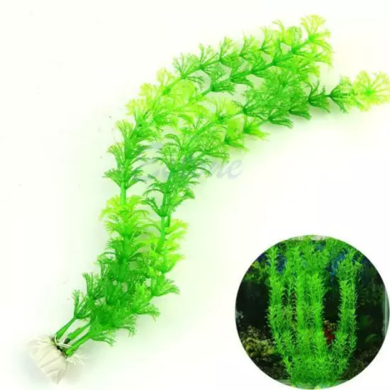 New And High Quality 1 Plastic Artificial Grass Decoration Water Fish Tank