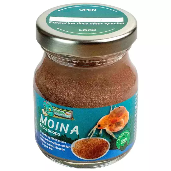 Moina Macrocopa (Water Flea) Sterilized Jar for Medium & Small and Newborn Fish