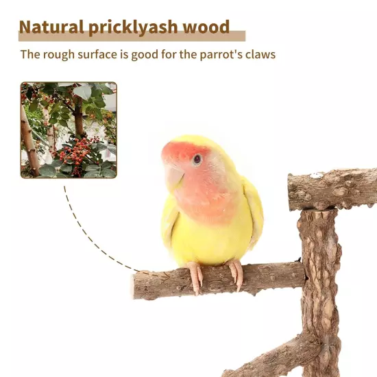 Bird Perch Stand Tabletop,Natural Pricklyash Wood Parrot Playground,Bird Acti...