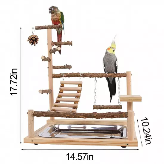 Bird Playground Parrot perch stand Natural Wood bird play stands for cockatie