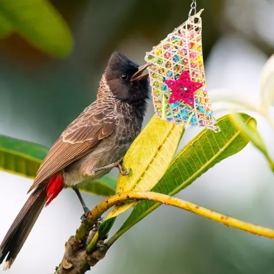 Parrot Cage Toy Crinkle Paper Chewing Foraging Toy for Small Birds