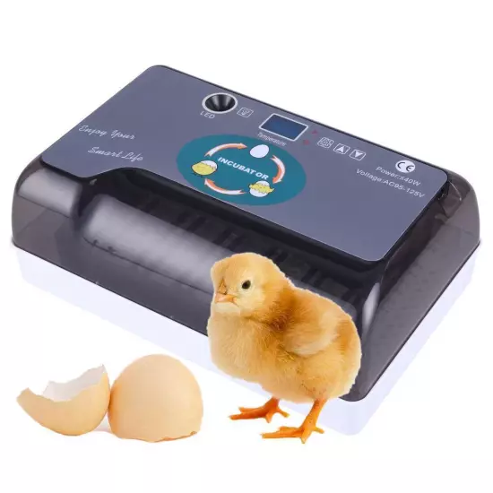 12 Eggs Fully Automatic Temperature Incubator Digital Poultry Chicken Duck Lamp