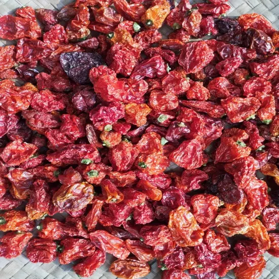 200 Whole Dried Carolina Reaper Pepper Pods World Hottest Best Quality