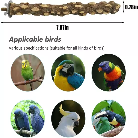 Hamiledyi Bird Parrot Perch Stand Set 6 PCS Natural Wood Parakeet Standing Toys 