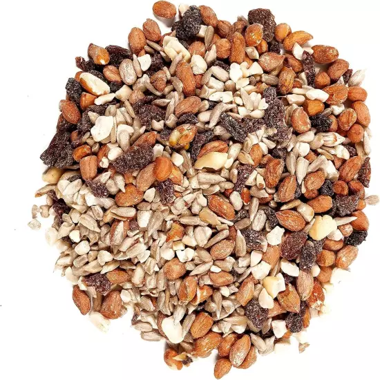 82072 Gourmet Nut & Fruit Wild Bird Food, 5 lb - 1 Pack, Premium Blend-US