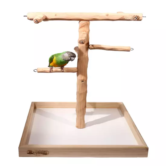 Deluxe Tabletop Parrot Climbing Tree - Tabletop Tree for Small to Medium Parrots