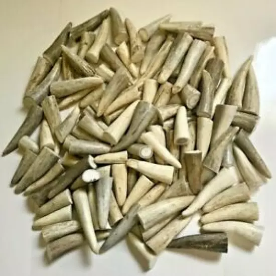 Deer Antler Tips - Pack of (20) 1.5"- 2" Clean Toggles - perfect for Crafters! 