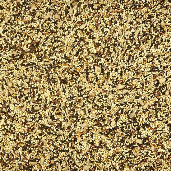 Kaytee Wild Bird Finch Food Blend 3 lb 3 Pound (Pack of 1)