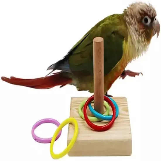 A Set of Parrot Intelligence Training Toys, Colorful Stackable Rings Small Sun R