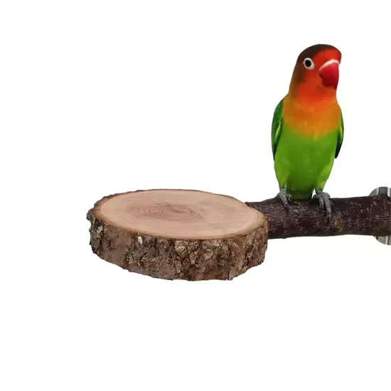 Natural Tree Wood Pet Parrot Wood Fork Tree Branch Stand Rack Squirrel9304