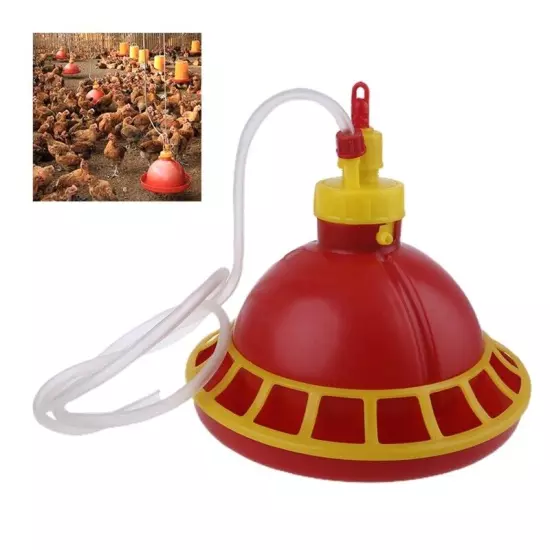 Chick Feeder Fed Water Dispenser No Waste Easy to Refill