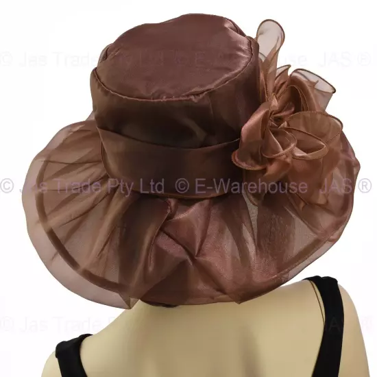 Spring Race Carnival Derby Day Church Wedding Women Ladies Organza Evening Hat