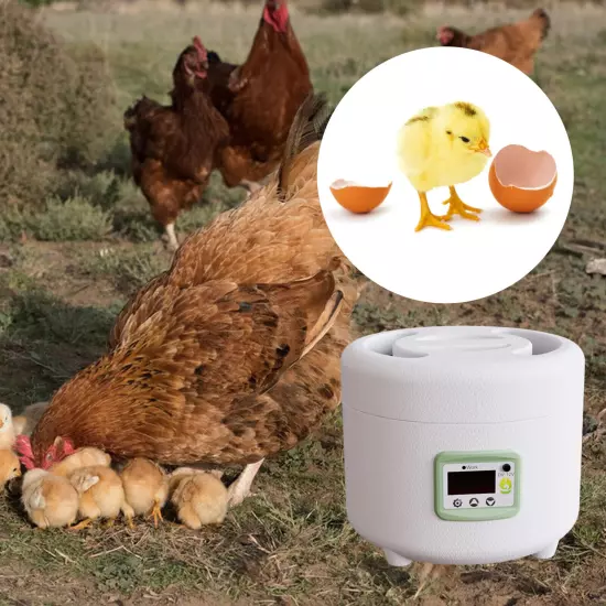 9 Eggs Incubator Automatic Farm Control Hatching Incubator for Quail Duck Bird