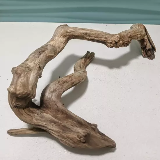 Natural Driftwood Root, Taxidermy, Aquarium, Terrarium, Art/Crafts, Decor