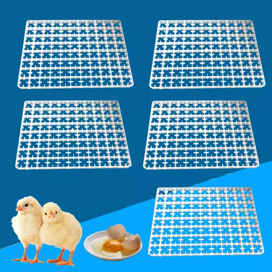 5*Egg Hatching Incubator Trays Chicken Quail Pheasant Duck 88 Egg Plastic Holder