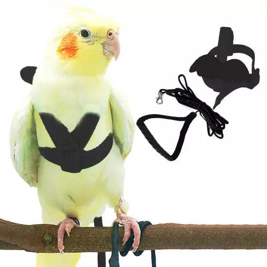 Pet Parrot Bird Harness and Leash Adjustable Training Design AntiBite Bird Ny