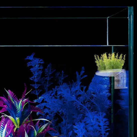 2Pack Aquarium Shelf,Transparent Acrylic Ledge Plants Holder for Substrate an...