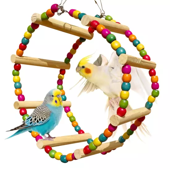 Giant Round Swing Wheel Cage Toy for Finches Budgies Cockatiels Lovebirds