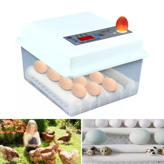 16 Egg Incubator Digital Automatic Temperature Control Auto Turning Hatching 30W