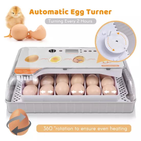 Digital Incubator 20 Eggs Poultry Hatcher with Auto Turning W6R6