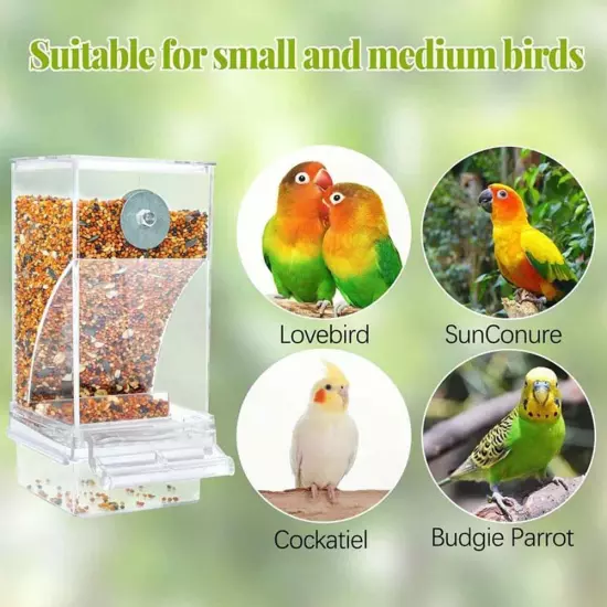 Automatic Bird Feeder, Food Water Feeding, Drinker Sale Parakeet, C4V6