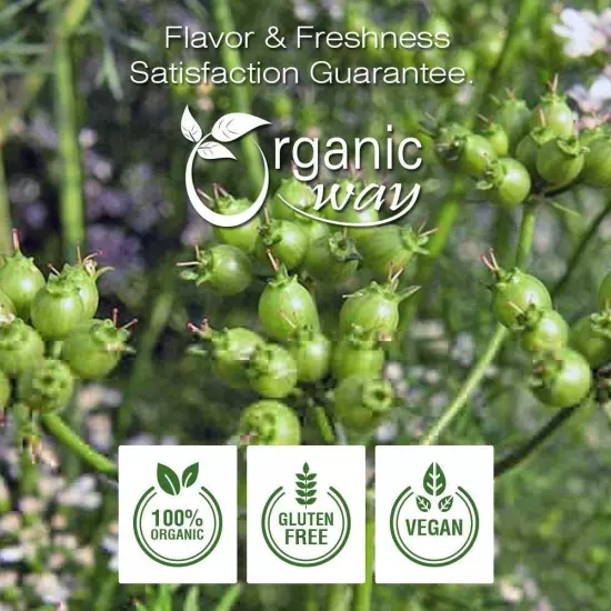 Organic Way Coriander Whole - Adds Flavour | Organic, Kosher & USDA Certified