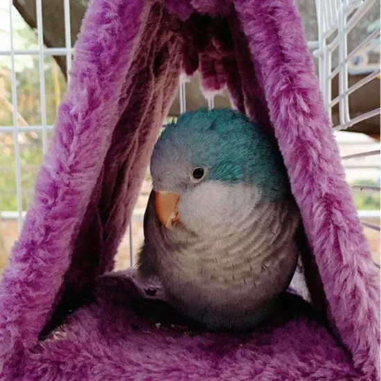 Cage Hut Plush Tent Bed Parrot Parakeet Budgie Accessories Bird Hammock Hanging