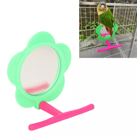 Bird Mirror Perch Flower Shape Decorative Plastic Parrot Mirror Stand Toy