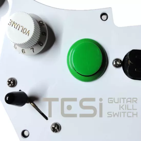 Tesi Switch DITO 24mm Arcade Button Guitar Kill Switch - 25 Colors Available!