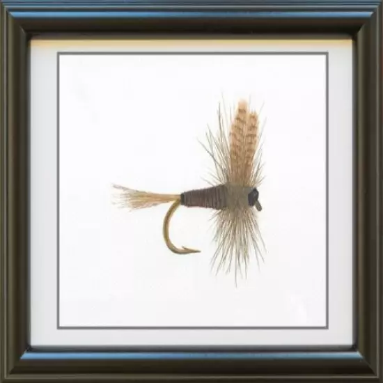 Fishing Quill Gordon Dry Fly Print Fisherman's Gift, unique fly fishing art gift