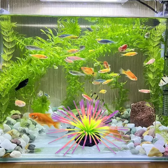 Fish Tank Simulates Coral Colourful Sea Urchin Ball Glow-in-the-dark Coral D2P1