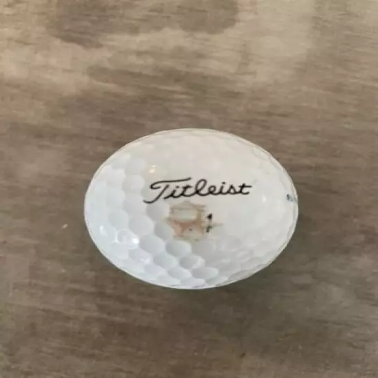 1 Titleist Pro V1 Left Dot ⚫️ Golf Ball, Used