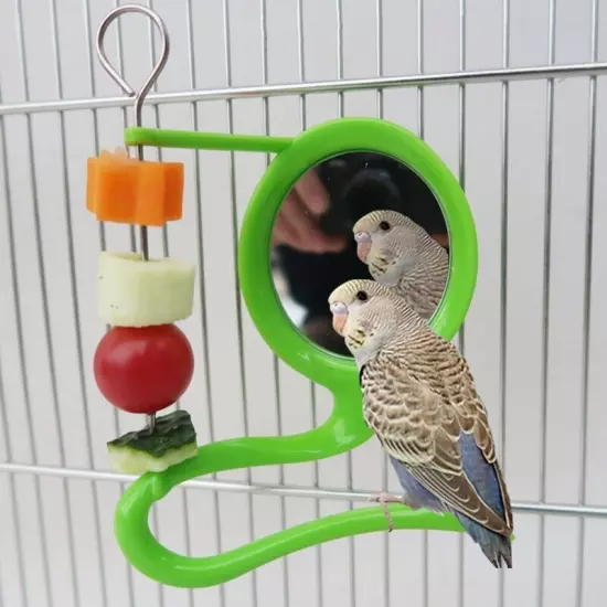 Bird Stand Toy Parrot Feeder Fruit Holder for Cockatiels Cage Accessories