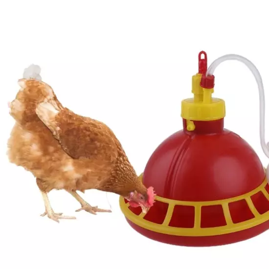 Chick Feeder Fed Water Dispenser No Waste Easy to Refill