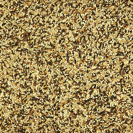 Wild Bird Finch Food Blend, 5 Lb