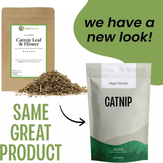 MagJo Naturals Farm Direct Catnip | Freshest Available | Bulk Bag (Half Pound)