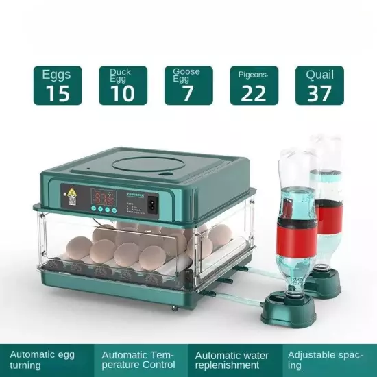 10 Egg Incubator (for Chickens, Birds and Quail) Automatic Incubation Equipment