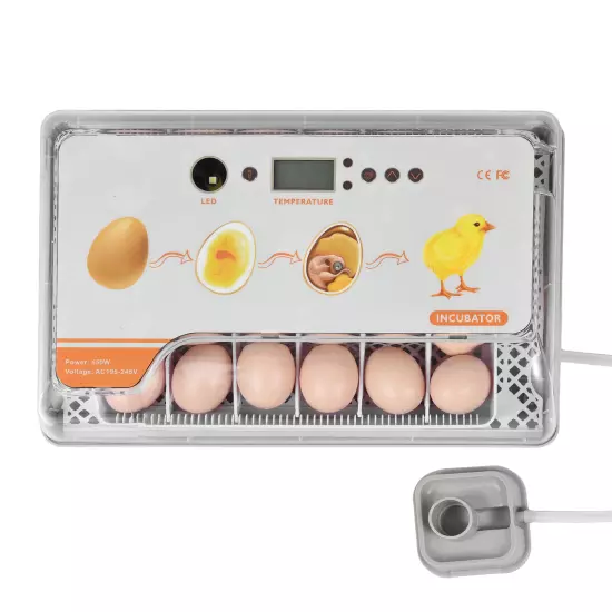 Digital Incubator 20 Eggs Poultry Hatcher with Auto Turning W6R6